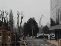 Imagine atasata: Openville - 2016.12.20 - 34.jpg